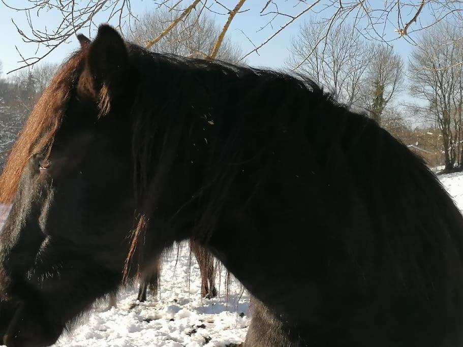 Les Merens Baulou Exterior foto